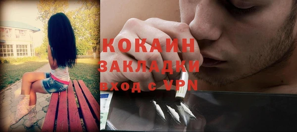 прущие грибы Балахна