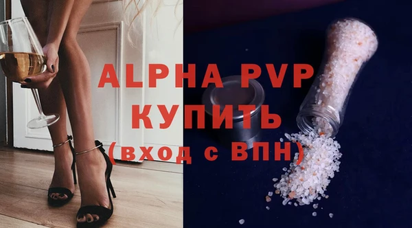прущие грибы Балахна