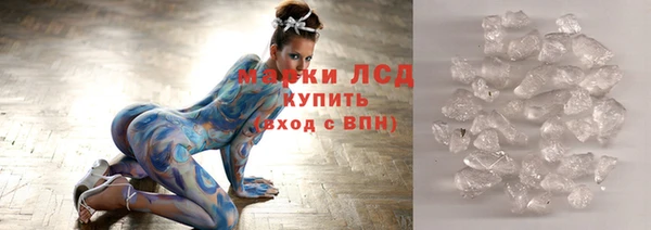прущие грибы Балахна