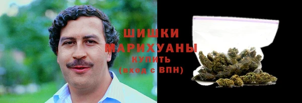 прущие грибы Балахна