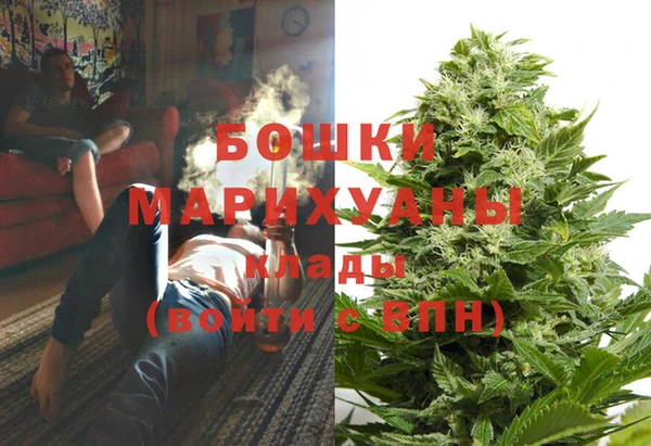 прущие грибы Балахна