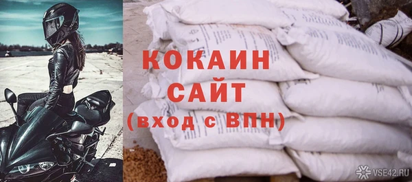 твердый Сосновый Бор