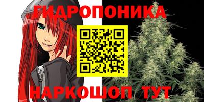 молекула духа Волжск