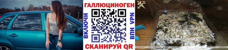 купить  сайты  Вязники  ссылка на мегу ССЫЛКА  Псилоцибиновые грибы GOLDEN TEACHER 