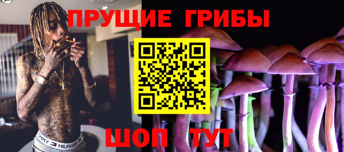 Галлюциногенные грибы ЛСД Вязники