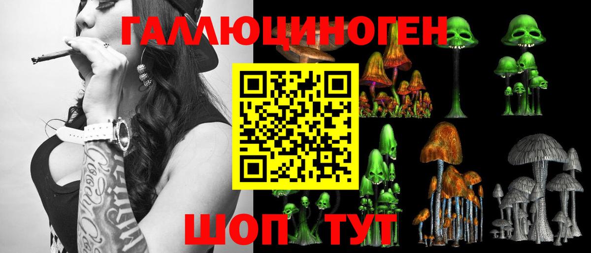 Вязники  Галлюциногенные грибы мухоморы  Вход с VPN 