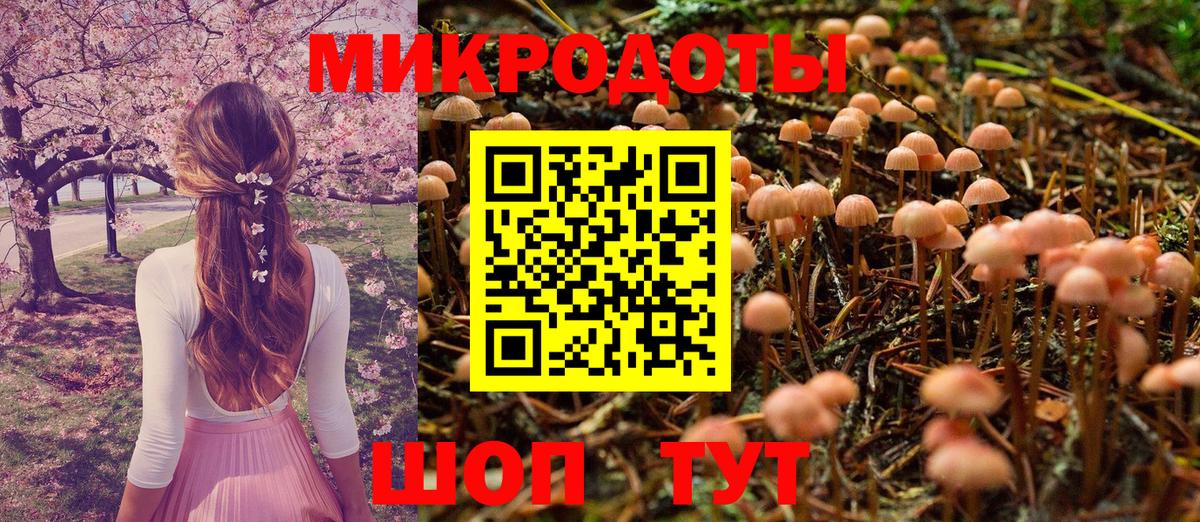 Псилоцибиновые грибы GOLDEN TEACHER Вязники
