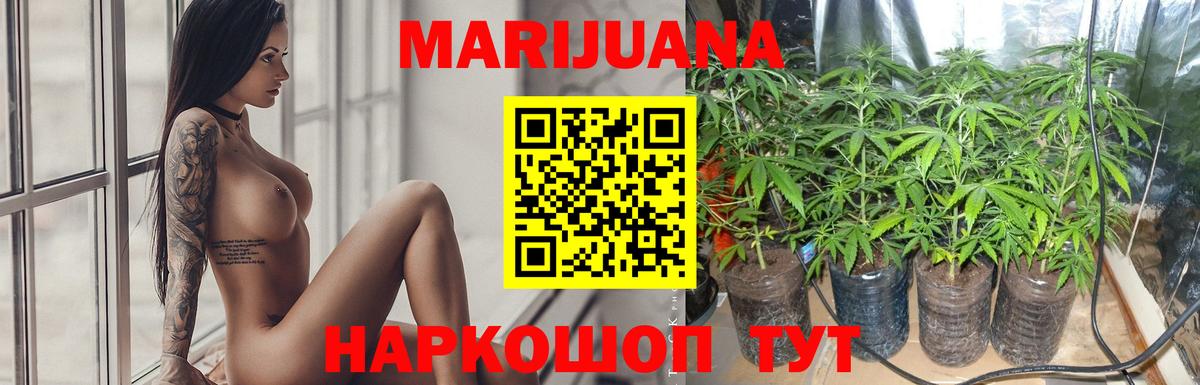 Бошки Шишки White Widow Вязники